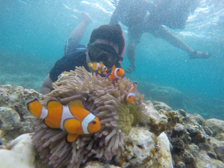 ADV150 Urban Exploride Ajak Bikers Snorkeling di Wisata Pahawang Island